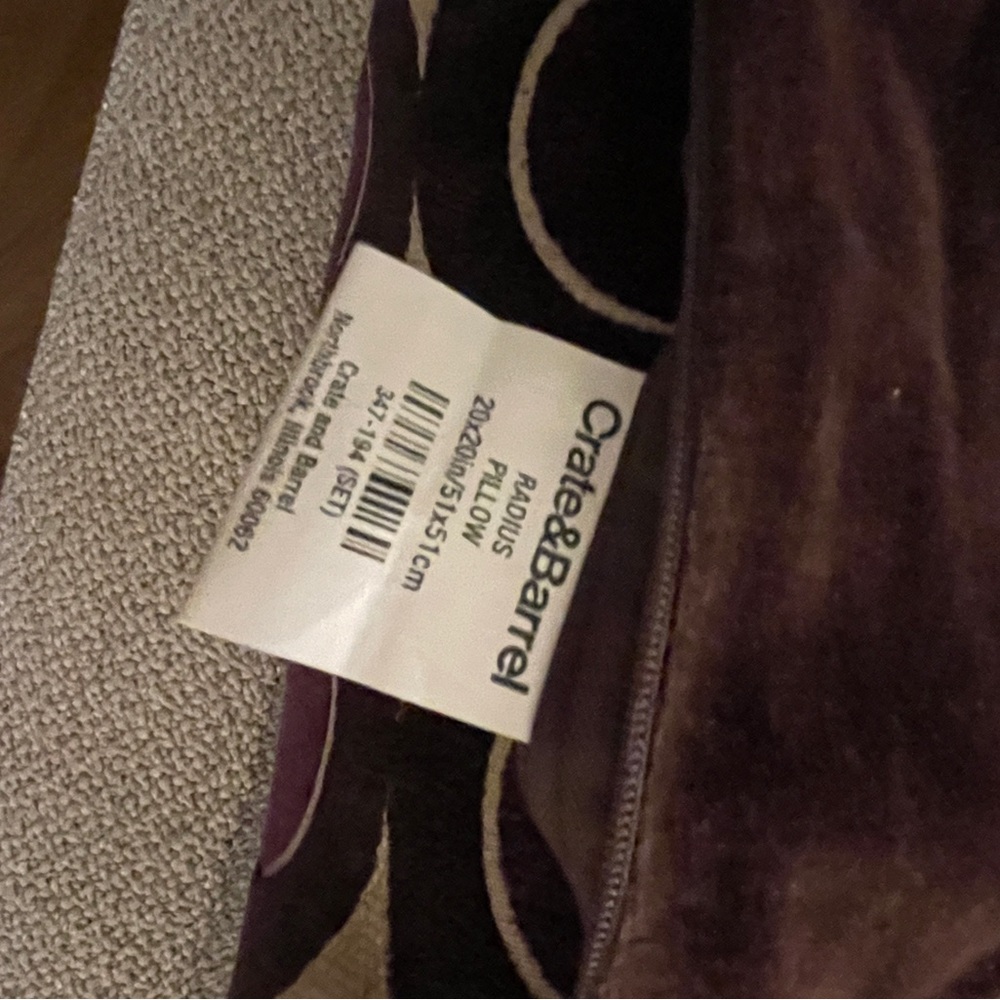 Crate&Barrel Pillow Case (with Pillow) - Picture 2 of 5